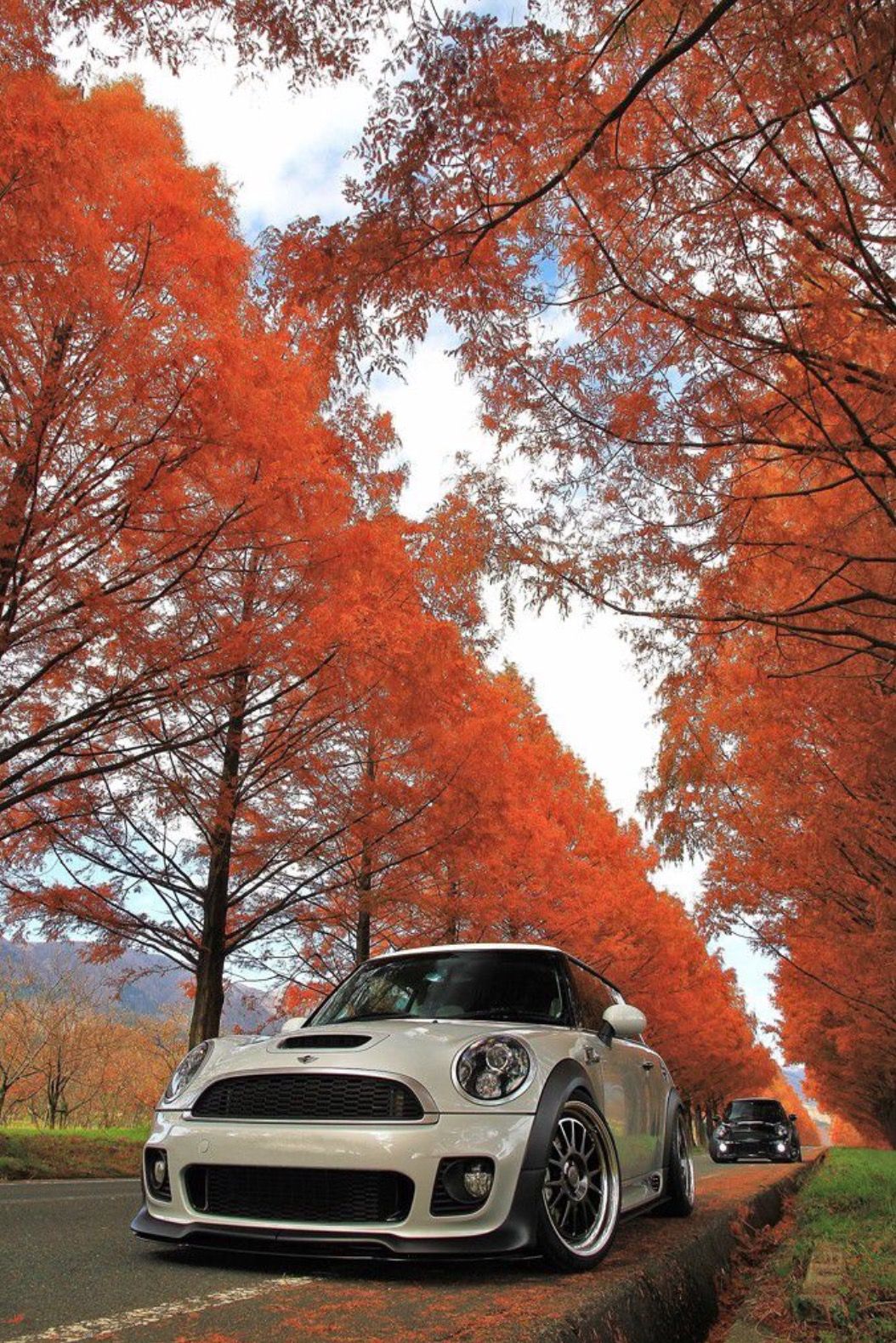 Mini R56 Camden On Work Seeker Fx 2 Piece Mini Mania Automobil