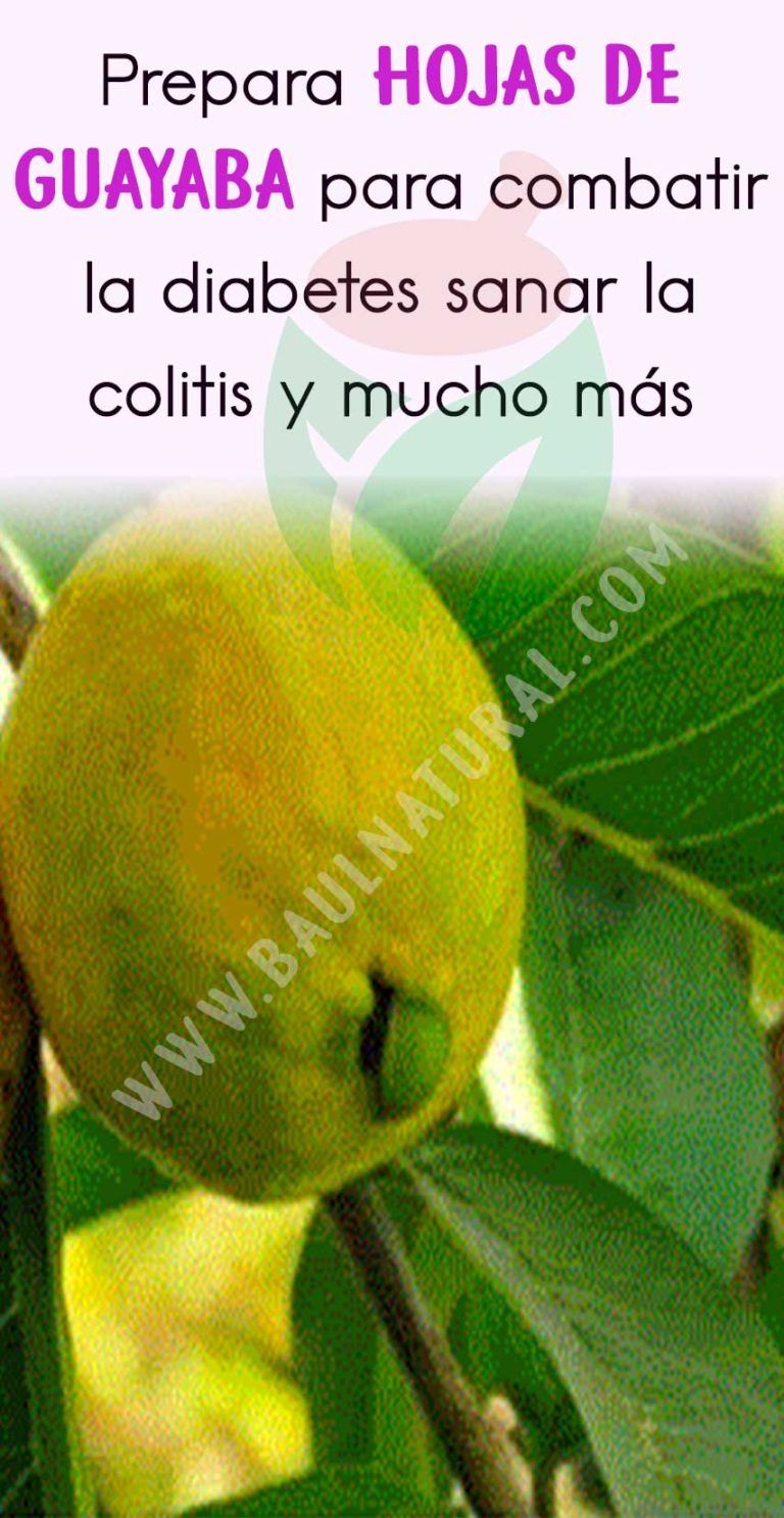 te de hojas de guayaba sirve para la colitis