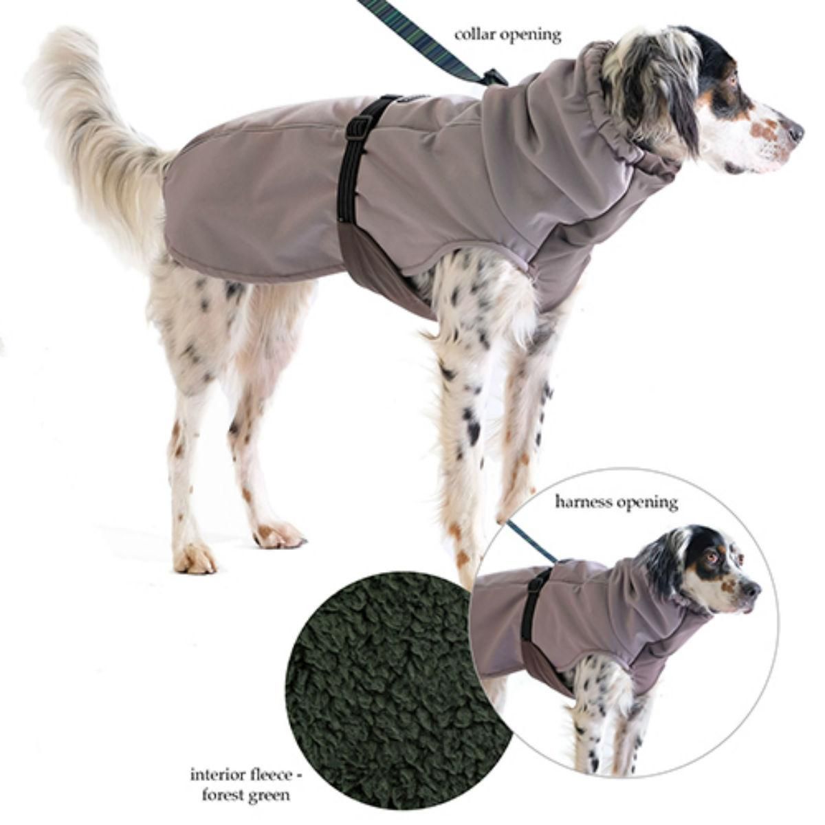 Winter Paw Dog Coat By Gold Paw Silver With Hunter Dog Coats
