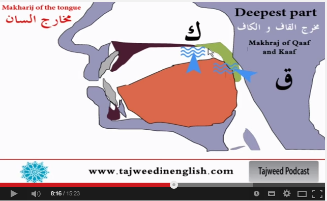 Equalisation For Freediving Mastering The Frenzel In 4 Easy Steps Podcasts Master Lesson