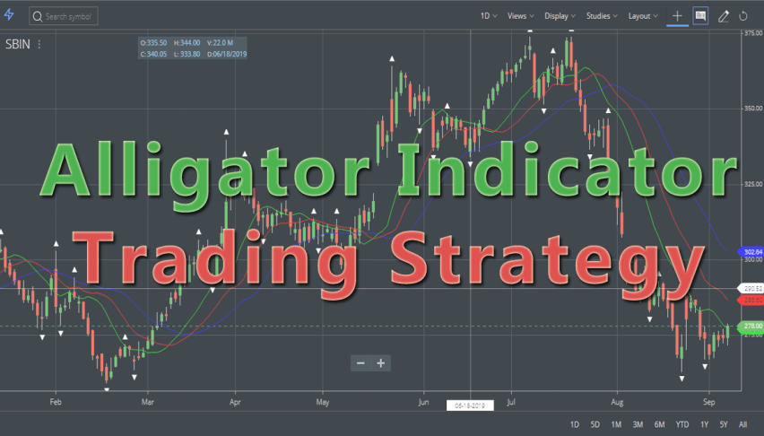 Wiseman alligator indicator