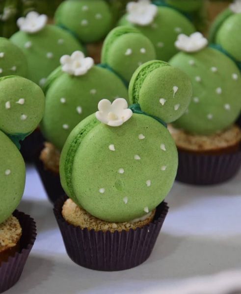 50 Ideias Festa Cactos 39 Cactus Cake, Cactus Party, Cactus Cupcakes, Cactus Cactus, Cactus Garden, Cactus Food, Party Cupcakes, Cactus Flower, Flowers Garden