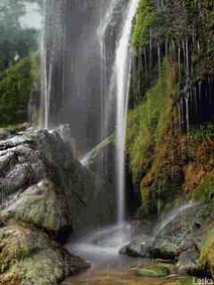 Browse all of the Animated Waterfalls photos, GIFs and videos. Find just what you're
looking for on Photobucket | Waterfall, Waterfall photo, Scenery