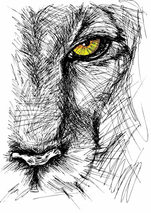 17 Idees De Croquis De Lion Dessin Dessin D Animal Dessin Lion 17 Idees De Croquis De Lion Dessin Dessin D Animal Dessin Lion