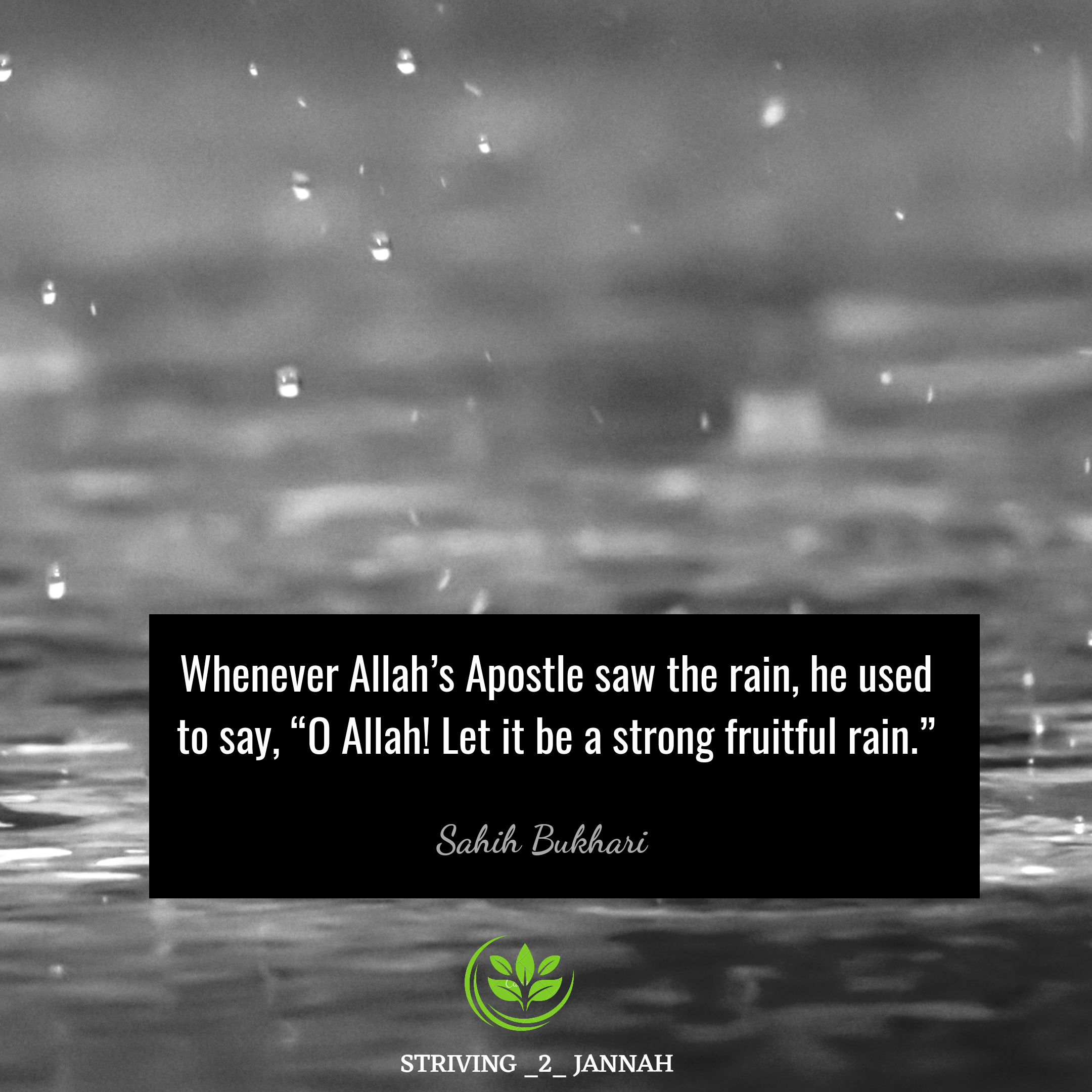 Whenever Allah’s Apostle saw the rain, he used to say, “O Allah! Let it