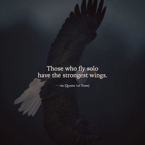 Those Who Fly Solo Have The Strongest Wings via Http ift tt 2eY7hg4 those-who-fly-solo-have-the-strongest-wings-via-http-ift-tt-2ey7hg4