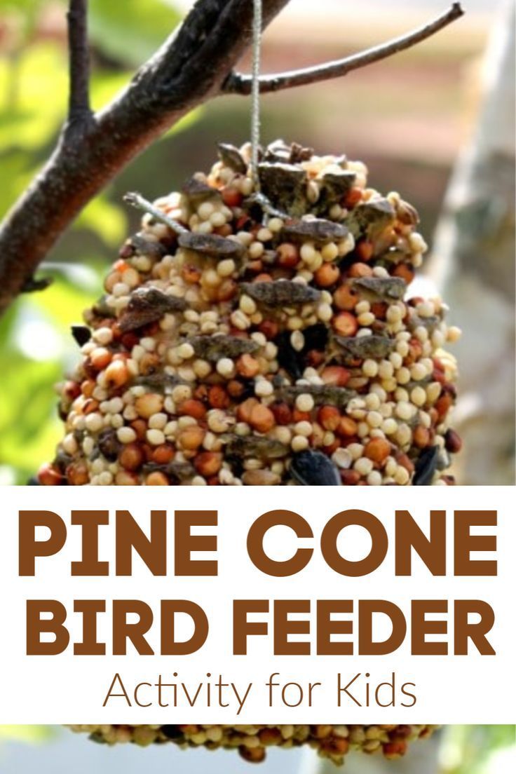 how-to-make-a-pinecone-bird-feeder-pine-cone-bird-feeder-pinecone