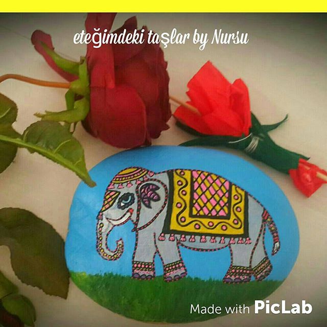 Filin uğuru ile güzel bir gün geçirmek dileğiyle...Tünaydın 😊 💖 #elephant #paintedstones Stone Painting, Rock Painting, Stone Artwork, Piclab, Painted Stones, Art Paint, Rock Art, Iconosquare, Elephants
