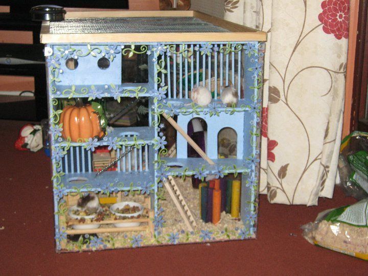 multi level hamster cage