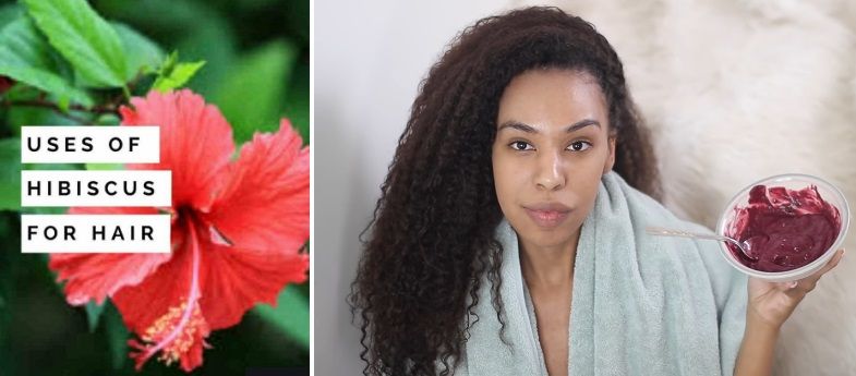 5 African Herbs For Hair Growth Remedies That Really Work Herbs For 5-african-herbs-for-hair-growth-remedies-that-really-work-herbs-for