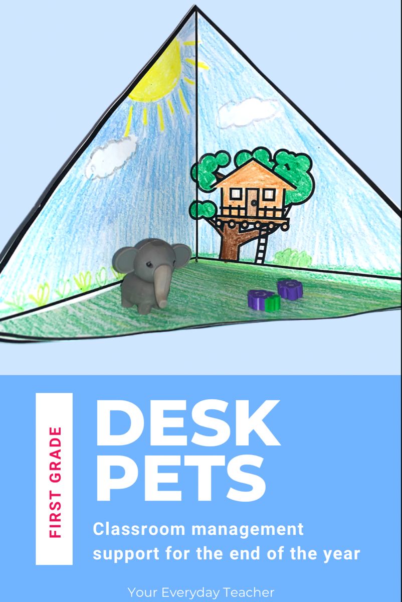 Desk Pets Classroom Management with Pet Homes | Classroom pets, Pet