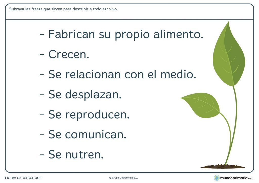 que es un ser vivo para preescolar