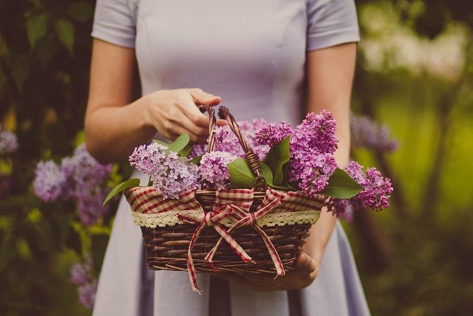 Know The History of Giving Flowers & Their Mind-Blowing Facts Clothes Encounters, Giving Flowers, Plants For Hanging Baskets, Lilac Blossom, Mind Blowing Facts, Photo Overlays, 4k Uhd, Latest Fashion, Women's Fashion