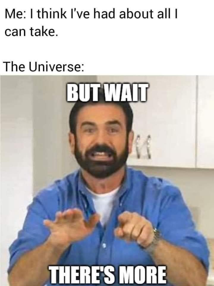 Wtf Funny Funny Cute Really Funny Funny Jokes Hilarious In Memes wtf-funny-funny-cute-really-funny-funny-jokes-hilarious-in-memes