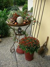 ~ * ~ Ba-Wüler in September ~ * ~ - Page 26 - Garden design - My beautiful garden ... - Adriana