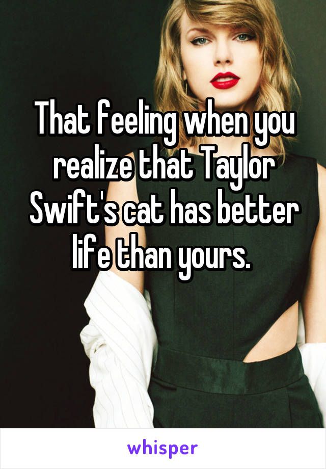 That feeling when you realize that Taylor Swift's cat has better life