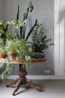 Botanical Interior, Interior Plants, Boho Interior, Interior Design, Inside Plants, Room With Plants, House Plants Decor, Motif Tropical, Tropical Plants