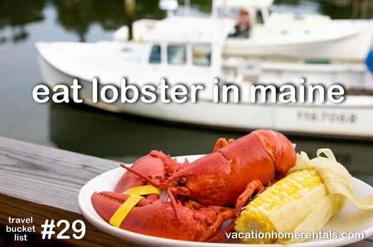 Craigslist Maine Rentals Wanted Pets and Animal Educations Craigslist Maine Rentals Wanted Pets and Animal Educations