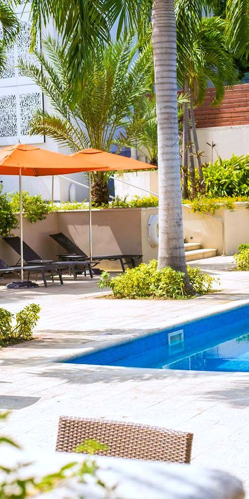 Enjoy some worry free days relaxing at the outdoor pool at Marriott Port-au-Prince Hotel. 🌤️🌱💦 -------------- #haiti #vacation #getaway #tropical #tropics #resort #family #families Best Family Resorts, Port Au Prince, Outdoor Pool, Outdoor Decor, Online Travel, Travel Deals, Marriott, Getaways, Pergola