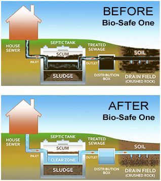 septic tank treatment