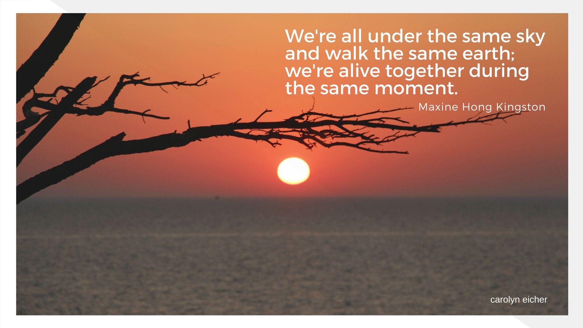 brave the wilderness brene brown brave the wilderness brene brown