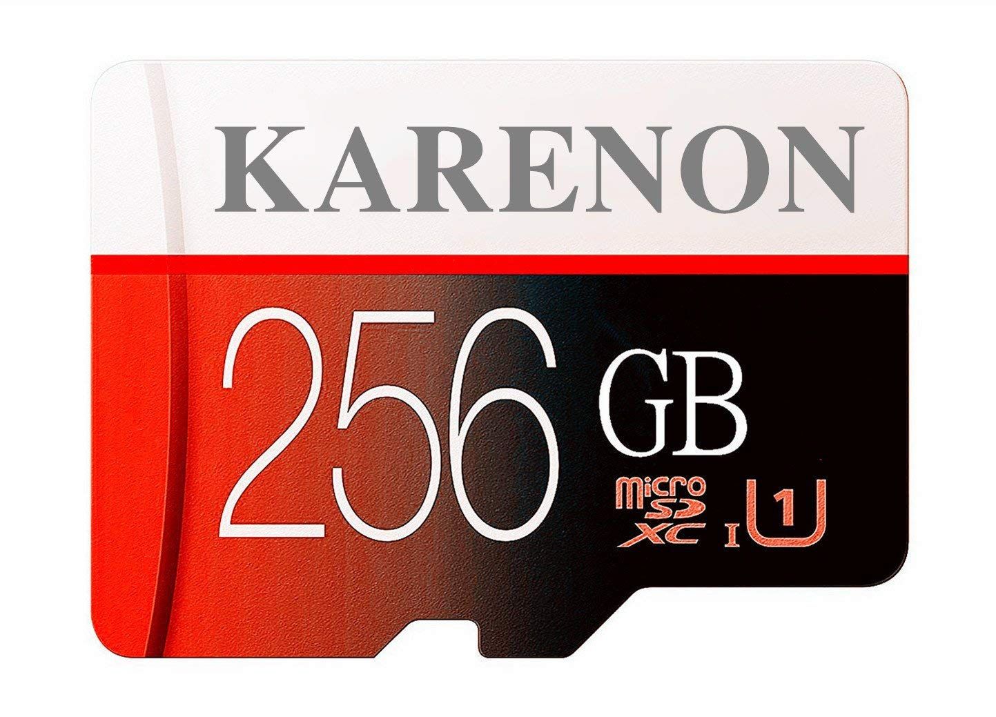 Carte M/émoire microSDXC 256 Go Classe 10 avec Adaptateur SD