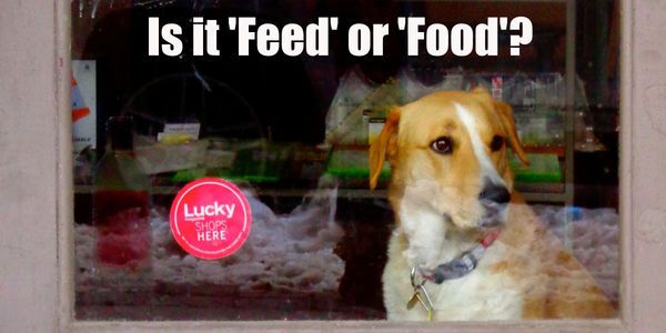 Petition Demand To Know What S In Fido S Bowl Feed Isn T Food