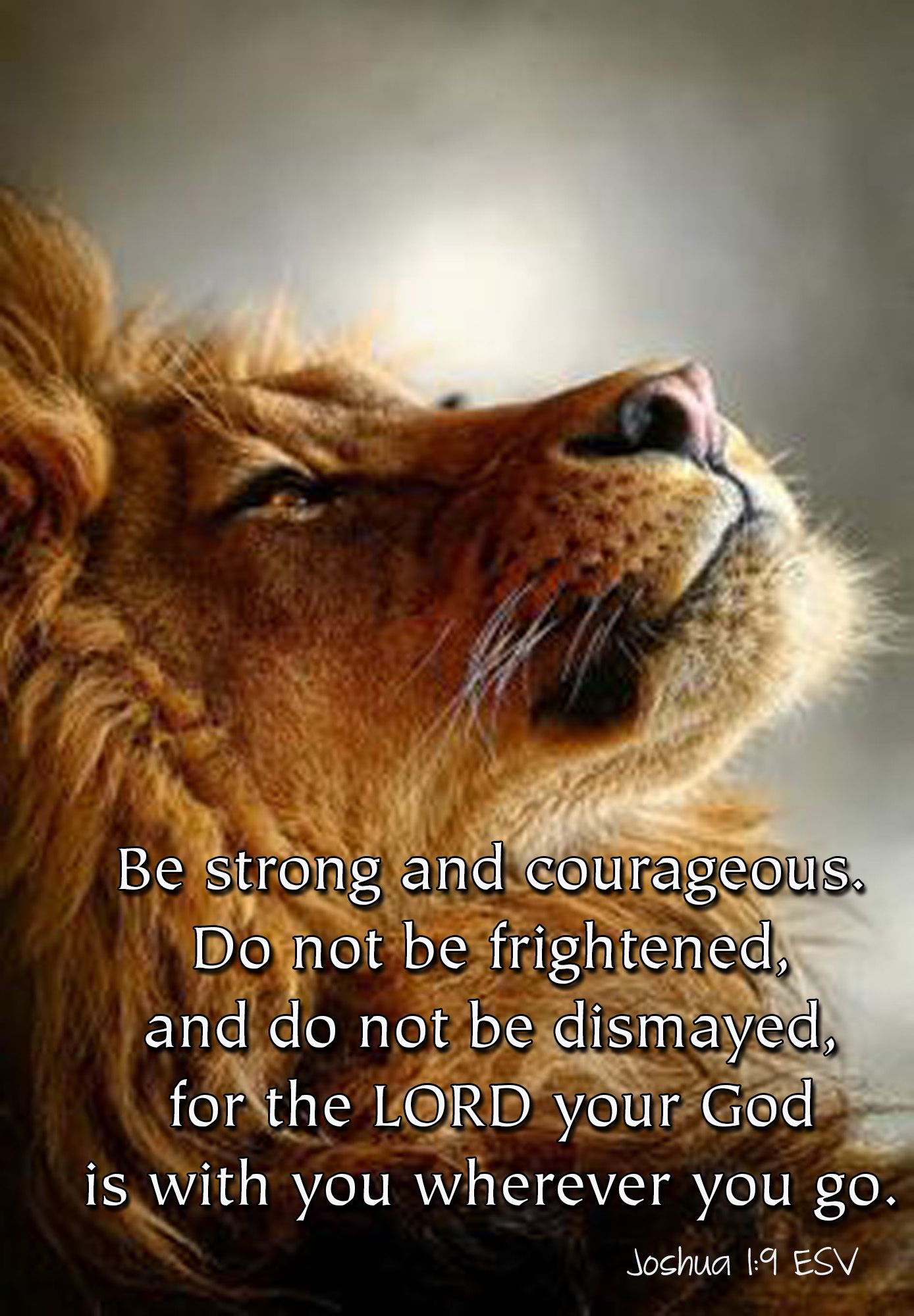 Joshua 1:9