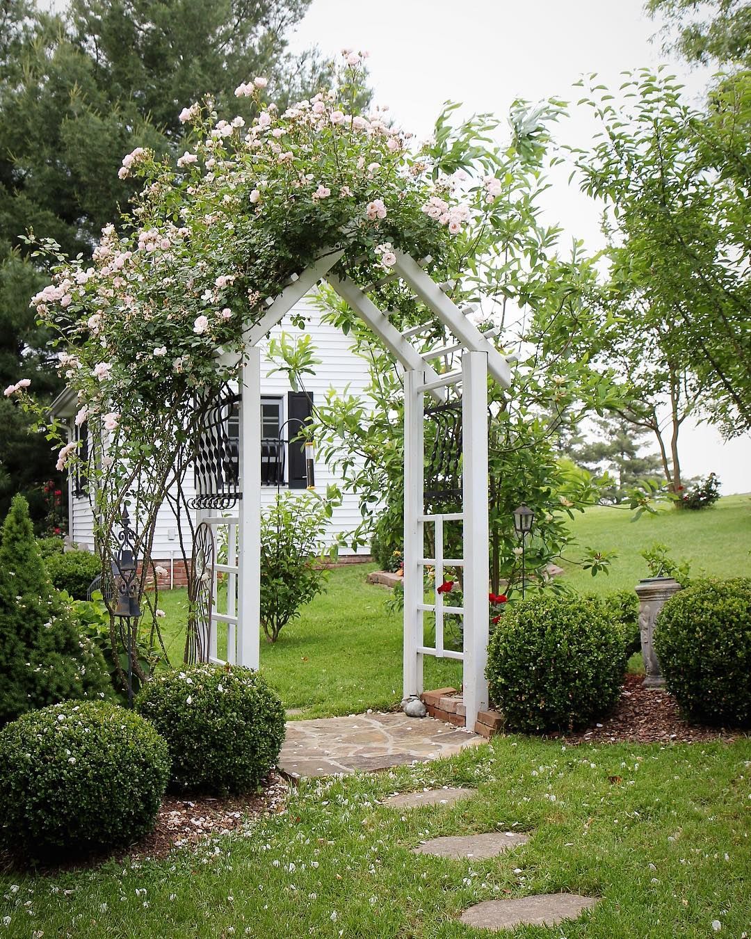 the pretty entryway into my parents backyard new dawn climbing rose summer17 summer outdoo backyard landscaping backyard landscape edging gated arbor trellis on the pretty entryway into my parents backyard new dawn climbing rose summer17 summer outdoo backyard landscaping backyard landscape edging pinterest