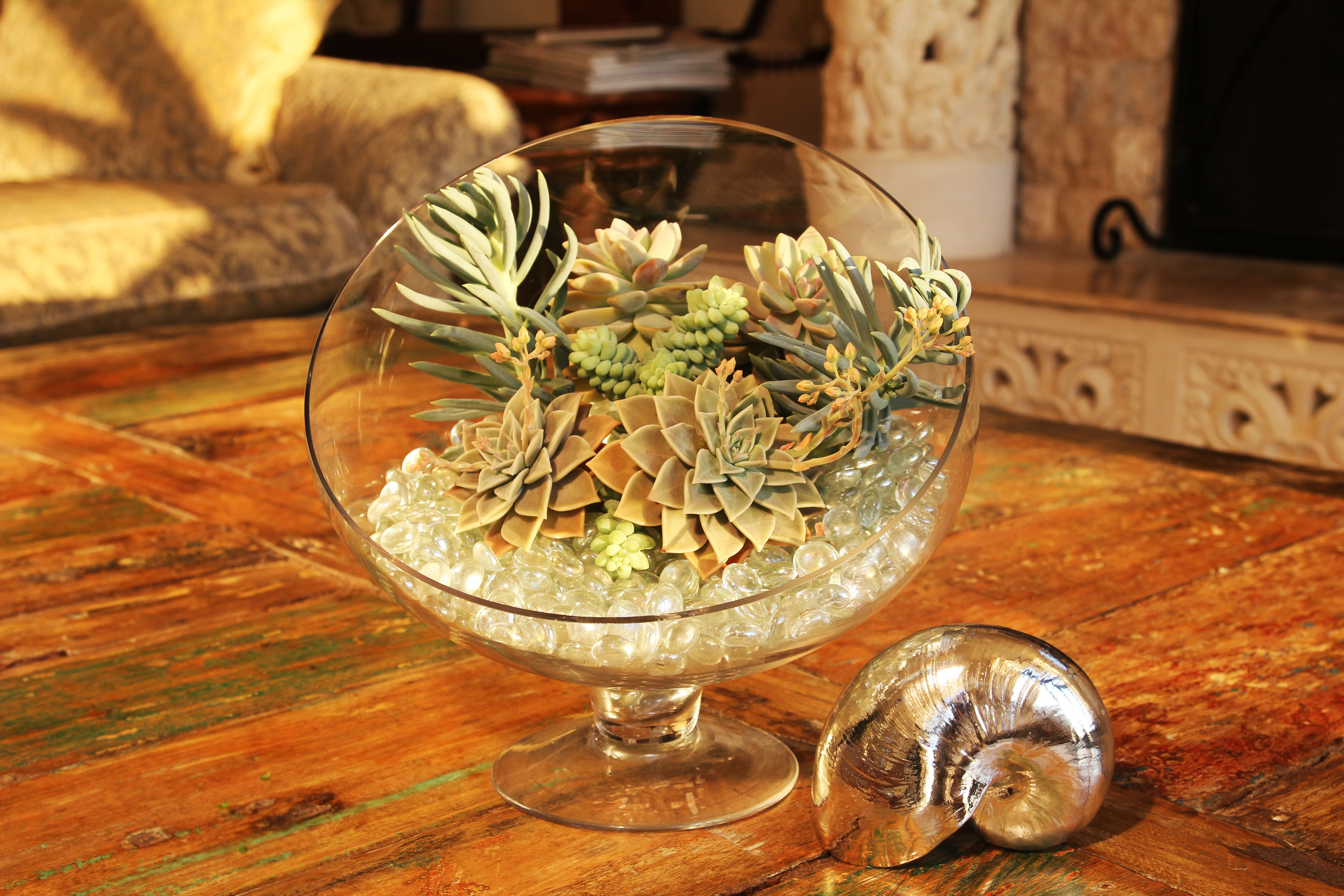 For This Succulent Arrangement I Used A Decorative Glass Bowl For This Succulent Arrangement I Used A Decorative Glass Bowl