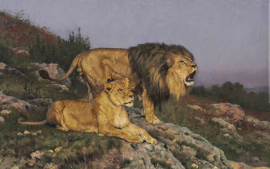 Lion Lion Преміальні зображення - огляд 6,906 Стокові фото, векторні зображення