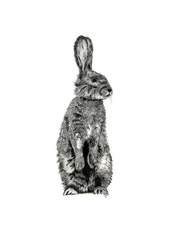 Miniblings Hare Laserprint Broche LC Pin Chasse de la Faune Animale for/êt Bois