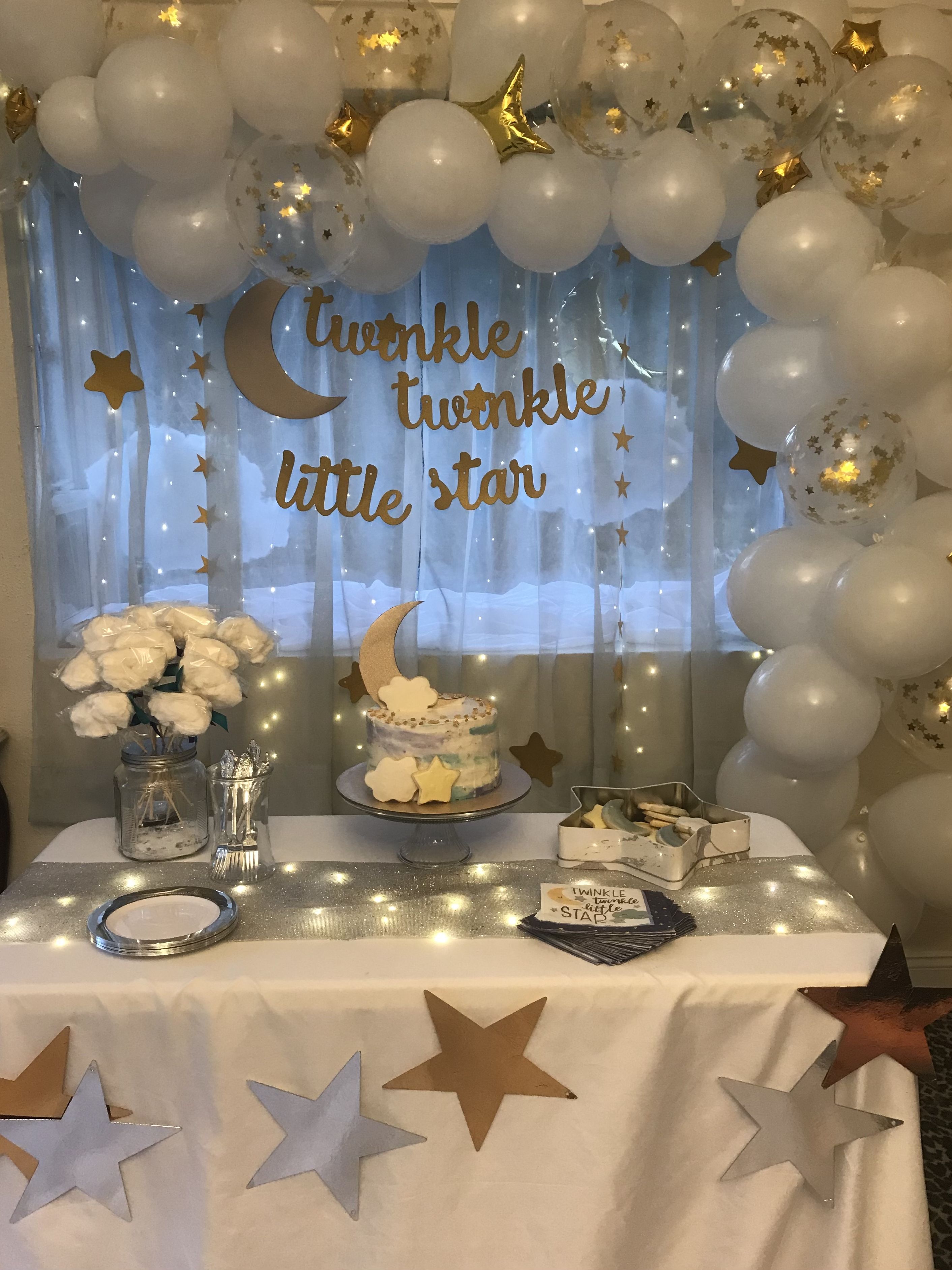 Twinkle Twinkle Little Star Decorations Twinkle Twinkle Gender Reveal Twinkle Twinkle Little Star Decorations Twinkle Twinkle Gender Reveal