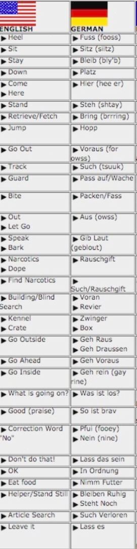 English To German Dog Commands If We Ever Get A German Shepherd I