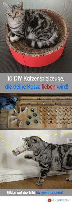 Klicken Sie auf das Bild fr mehr DIY Katzenspielzeug und mehr Details! So einfach ... - Haustiere -...
