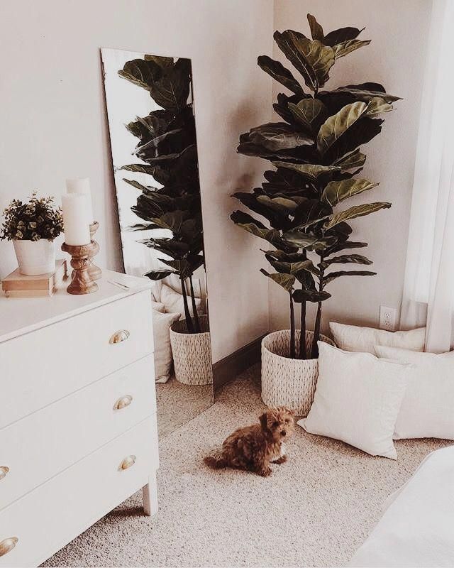 bedroom corner with dresser and mirror ft. puppy # ...