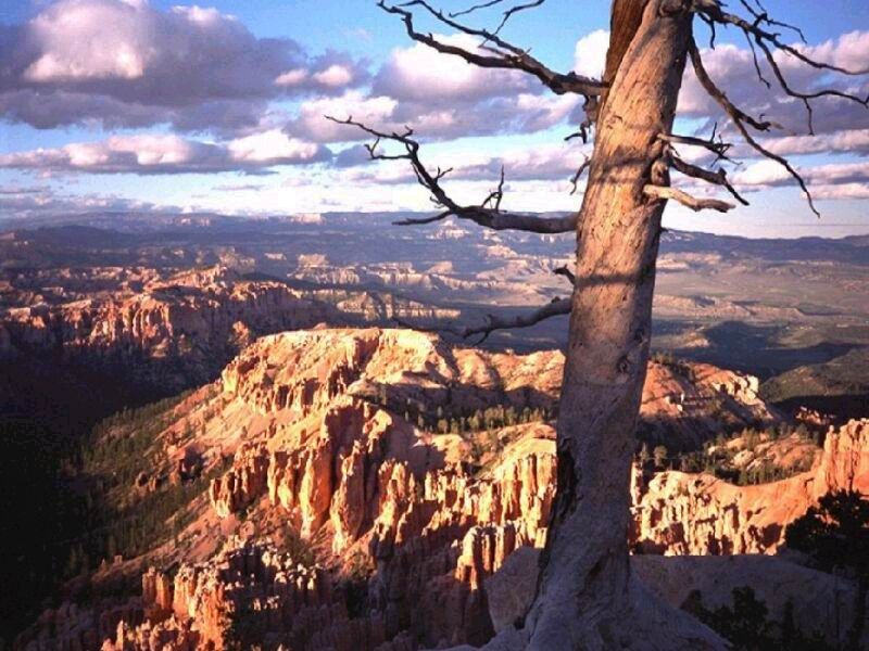 Grand canyon helicopter tour coupon