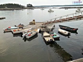 five islands lobster company georgetown maine pinterest lake