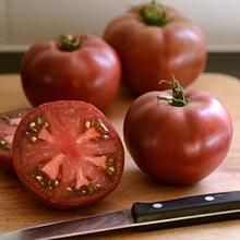 100 pcs//bag Super Rare Red Giant Competition Russian Heirloom Tyazeloves Tomato