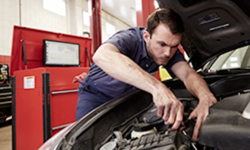 ProDemand 14 Days Free | Automotive repair, Repair, Credit card info
