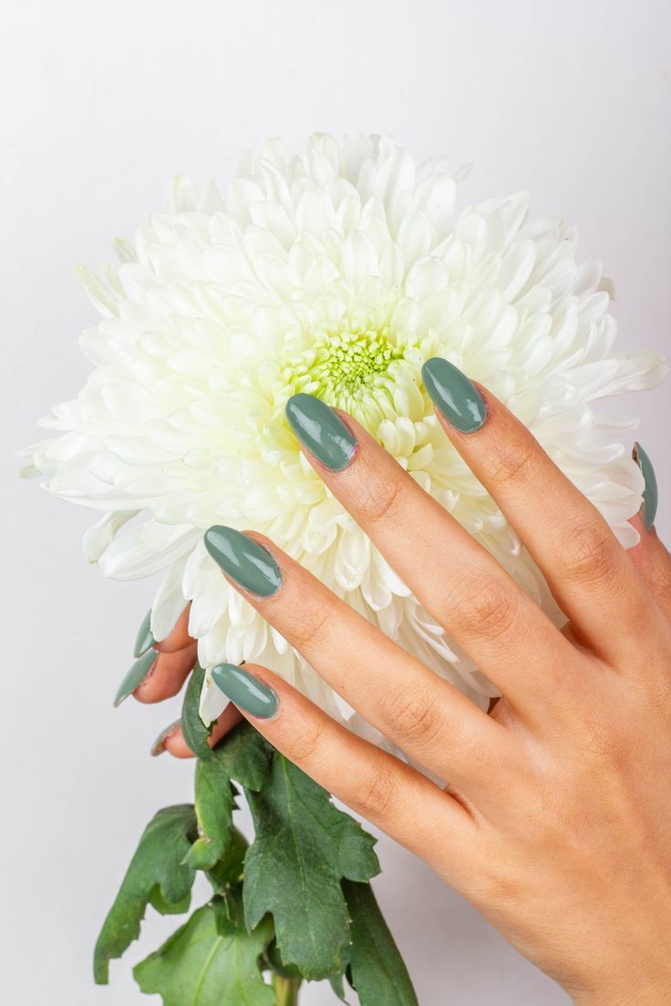 Sage green is the retro OG shade. Unfortunately, a very difficult shade to perfect for brown skin & undertones. After many iterations, we’ve found the shade that your hands will shine against. #harkoi #nailpaint #nailpolish #nailserum #nailacquer #vegan #reels #nailpaint #fightcolorism #colorism #toxinfree #indiannails #cleanbeauty #greenday #greennails #greenpolish #greennailpolish #glossynails Green Nail Polish, Green Nails, Green Day, Sage Green, Indian Nails, Nail Polish Online, Nail Serum, Skin Undertones, Top Beauty Products