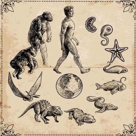 Origem da vida: o que é LUCA, o antepassado comum dos seres vivos que habitam a Terra