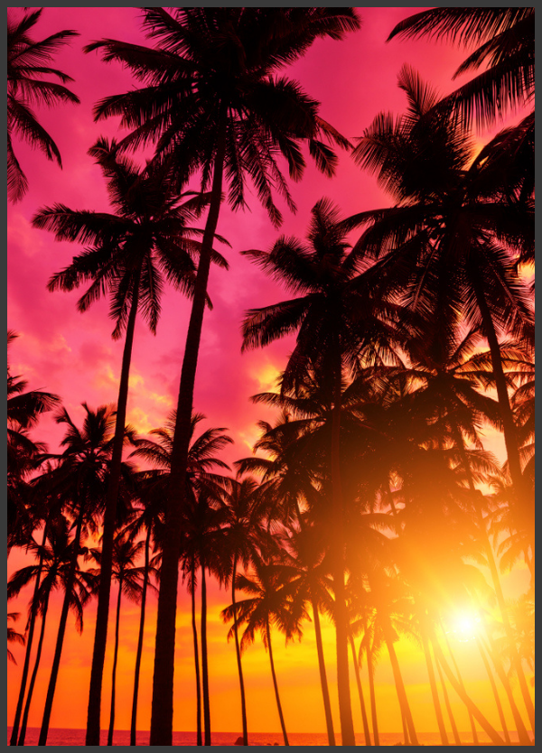 Picture of a beach during a sunset. The low-angle, shadows of palm trees, and blazing color scheme make this click more than dramatic. Museum-quality poster made on thick and long-lasting matte (uncoated) paper. - Paper weight: 200 gsm / 80 lb - Shipped in sturdy packaging protecting the poster Printed and shipped on demand. No minimums. Image by nevodka / Shutterstock Palm Tree Sunset, Sunset Beach, Palm Trees, Palm Tree Pictures, Hawaii Pictures, Beachy Wallpapers, Pretty Wallpapers, Summer Wallpaper, Tree Wallpaper