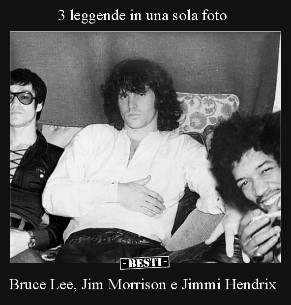 bruce lee vedere