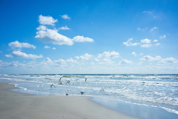 The Best Beaches In Texas Best Beaches In Texas Texas Beaches Beach