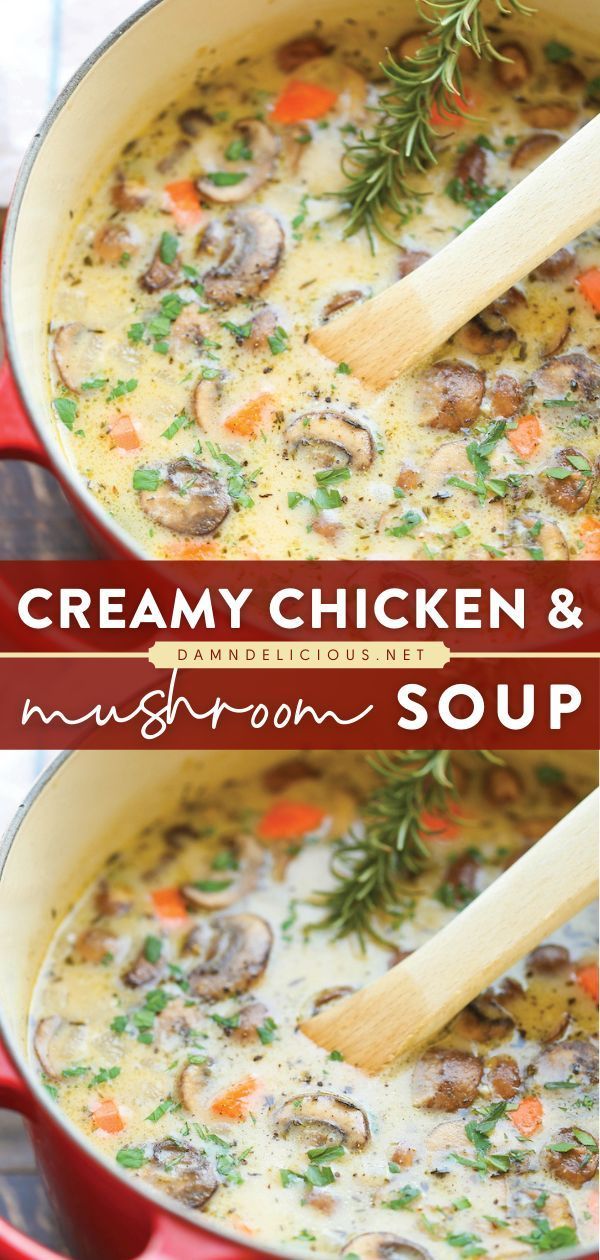 Creamy Chicken and Mushroom Soup