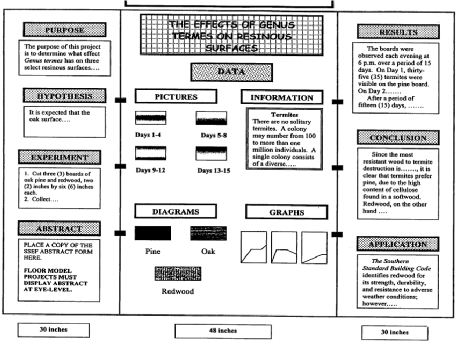 format science display board display rules items that cannot be science fair display board template