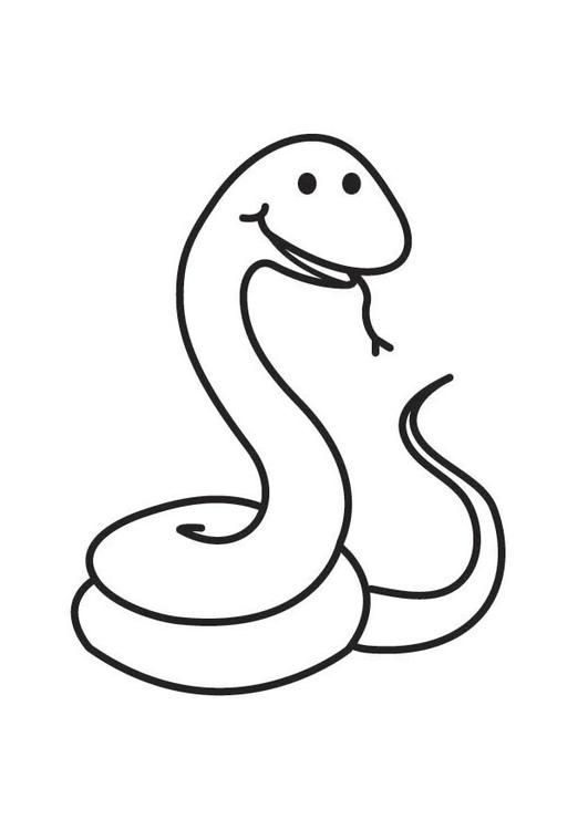 Coloriage Serpent Images Pour L Ecoles Et L Education Dessins Et Photos Educatives Ressources Pedag Snake Coloring Pages Animal Coloring Pages Snake Drawing Coloriage Serpent Images Pour L Ecoles Et L Education Dessins Et Photos Educatives Ressources Pedag Snake Coloring Pages Animal Coloring Pages Snake Drawing