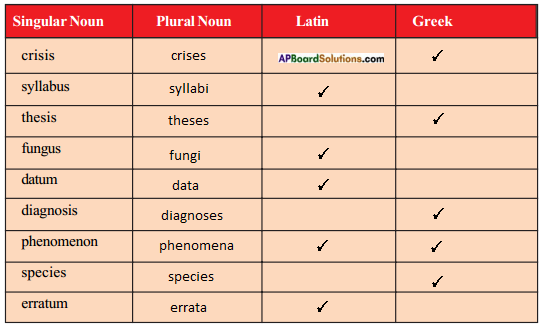 AP SSC 10th Class English Solutions Chapter 2B The Dear Departed Part 2 – AP Board Solutions Singular Nouns, Plural Nouns, Plurals, Eyes Problems, Dental Problems, Adverbs, Adjectives, English Textbook, Mental Depression