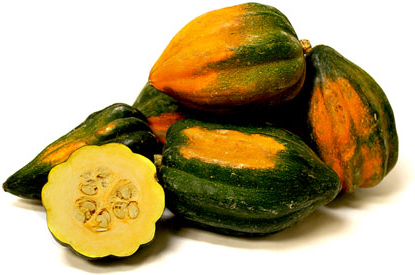 acorn squash nutrition acorn squash nutrition